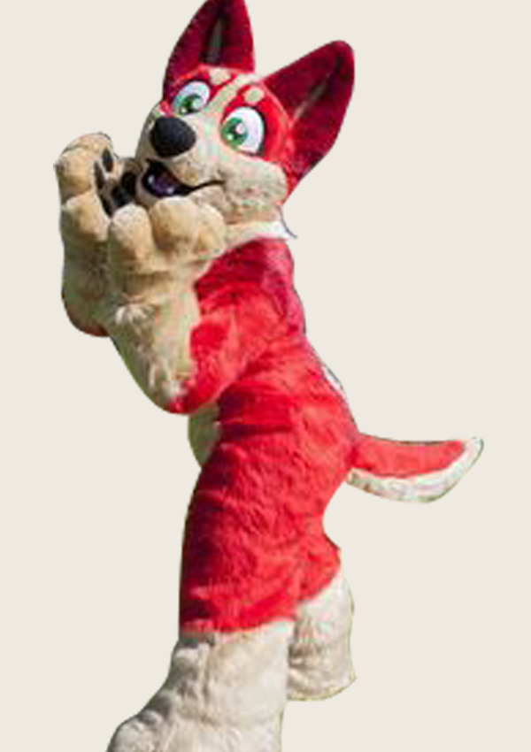 Buy The Red Color Dog Fursuit
