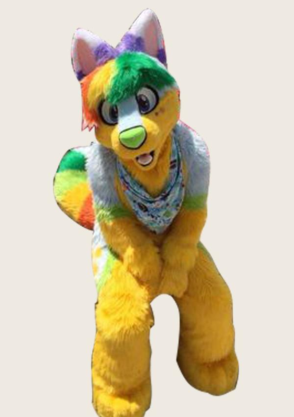 Multi Color Dog Fursuit