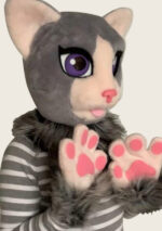 Grey Cat Head, Paws