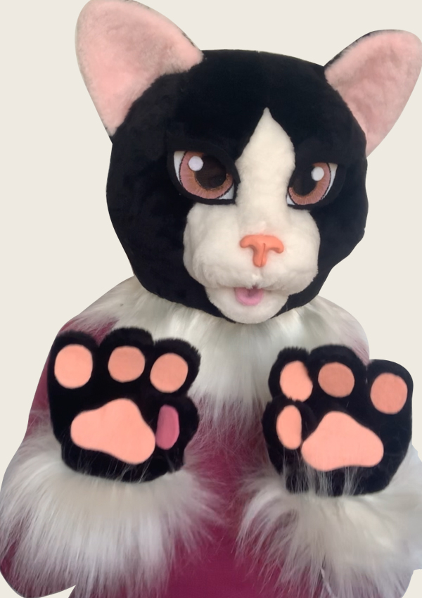 Cat Black Pink Head And Paws